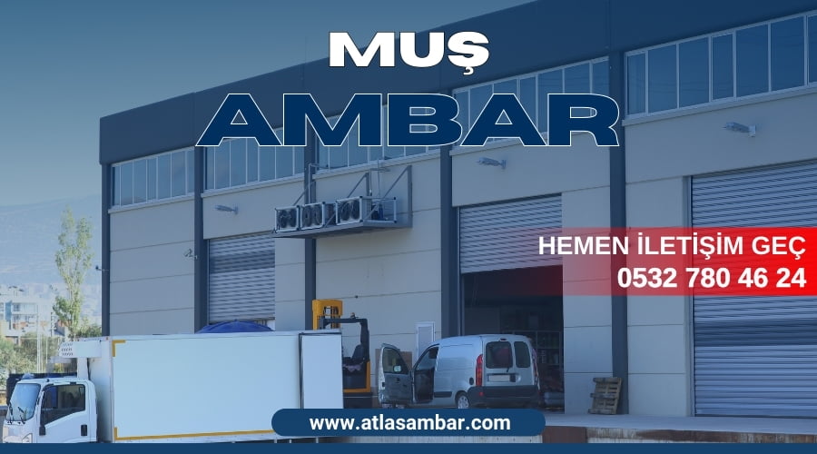 Muş Ambar